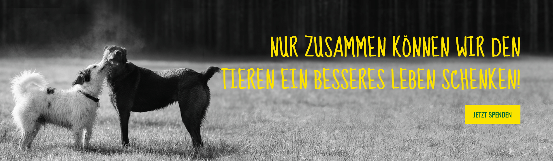 Bundesverband Tierschutz